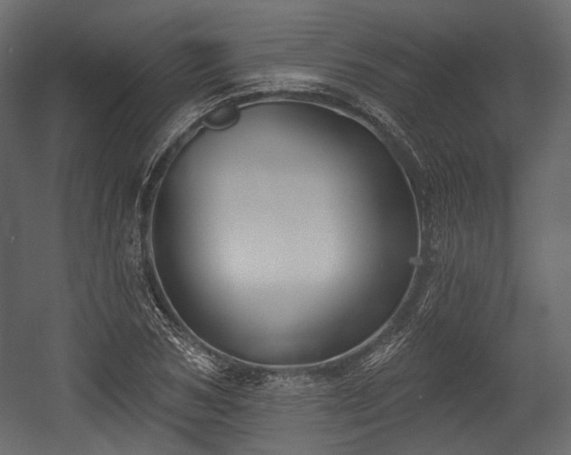 X0000054360978200508011216