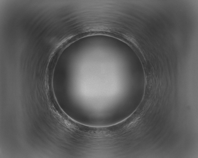 X0000054360979200508011216