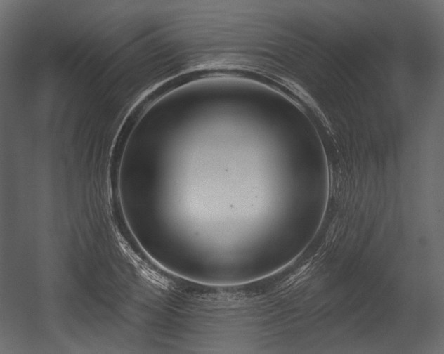X0000054360980200508011216