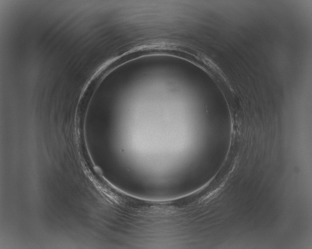 X0000054360981200508011216