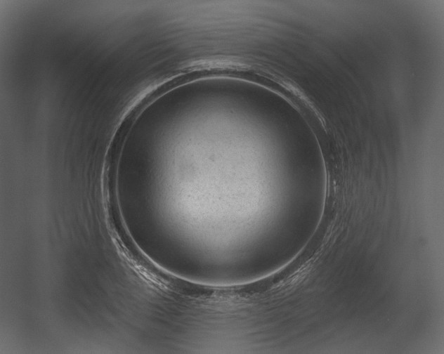 X0000054360983200508011216