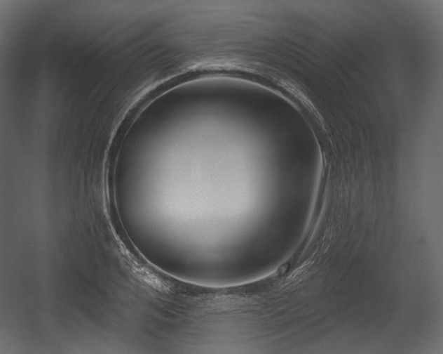 X0000054360984200508011216
