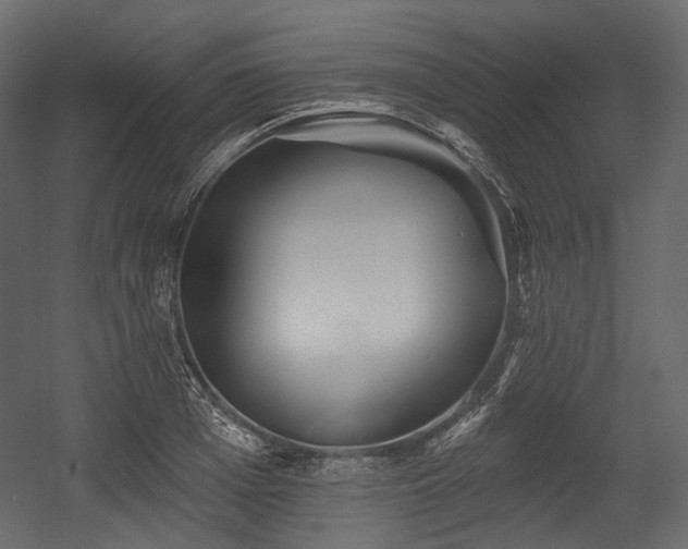 X0000054360985200508011216