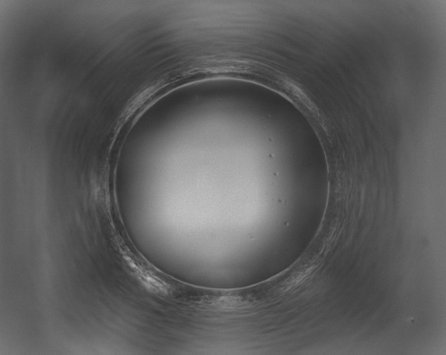 X0000054360986200508011216