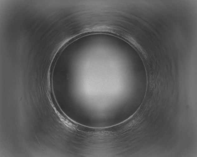 X0000054360988200508011216