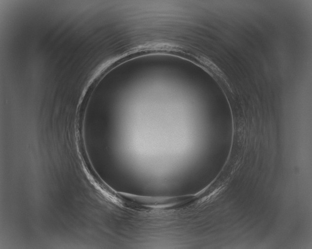 X0000054360989200508011216