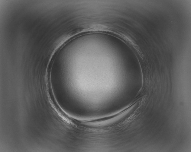 X0000054360990200508011216