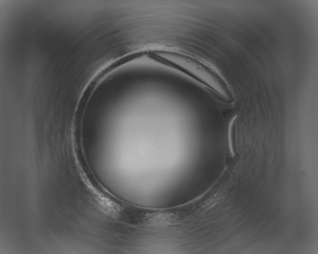 X0000054360991200508011216