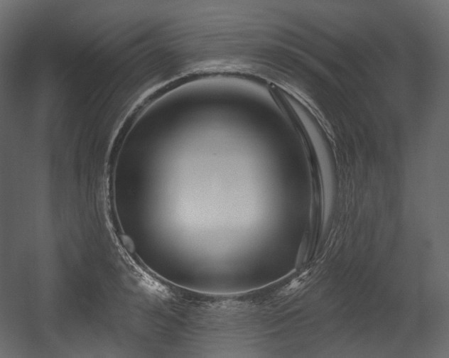 X0000054360992200508011216