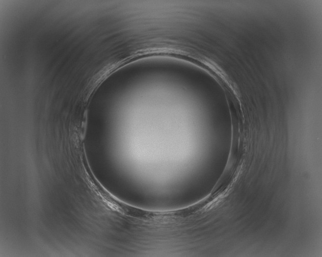 X0000054360993200508011216