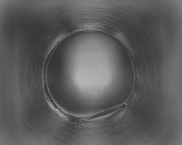 X0000054360994200508011215