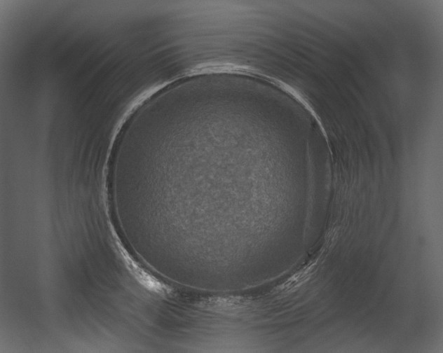 X0000054360995200508011215