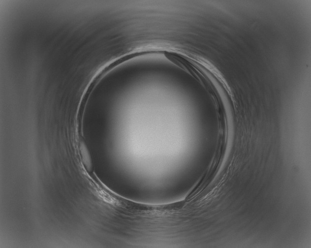 X0000054360996200508011215