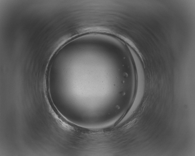 X0000054360999200508011215