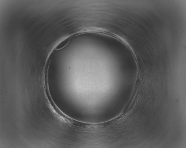 X0000054361003200508011215