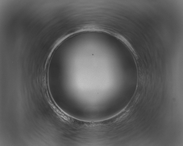 X0000054361004200508011215
