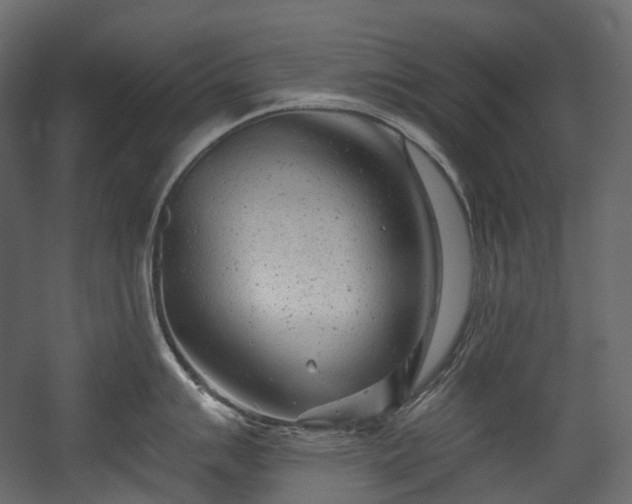 X0000054361007200508011215