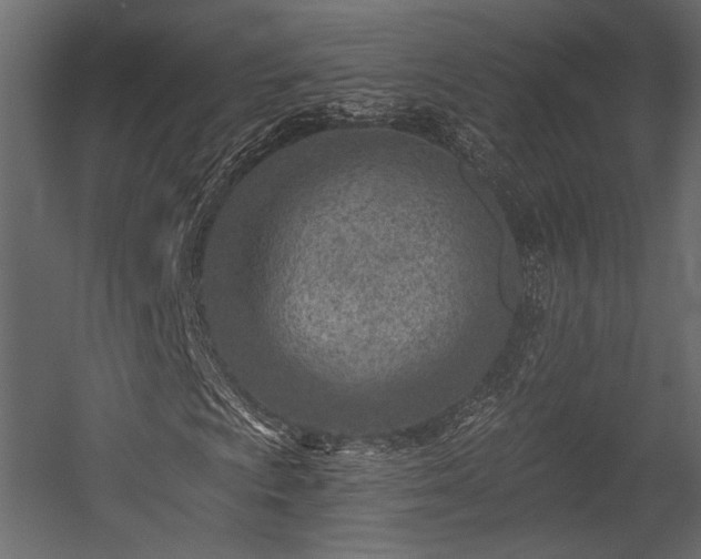 X0000054361009200508011214