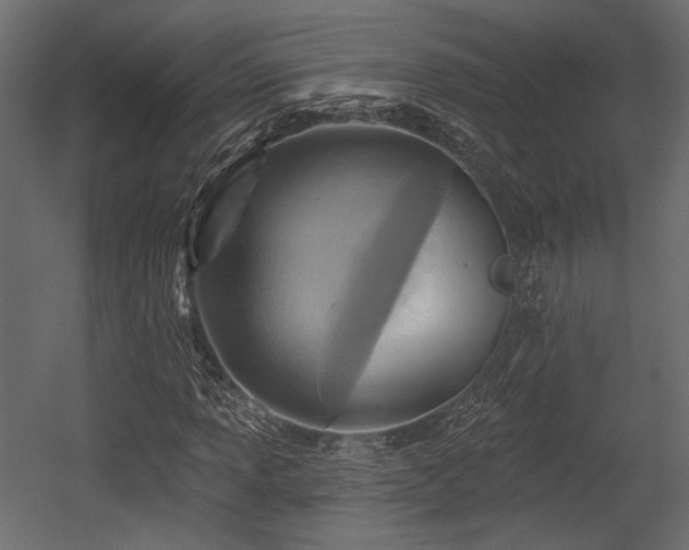 X0000054361013200508011214