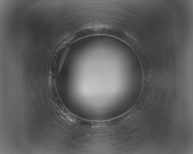 X0000054361014200508011215