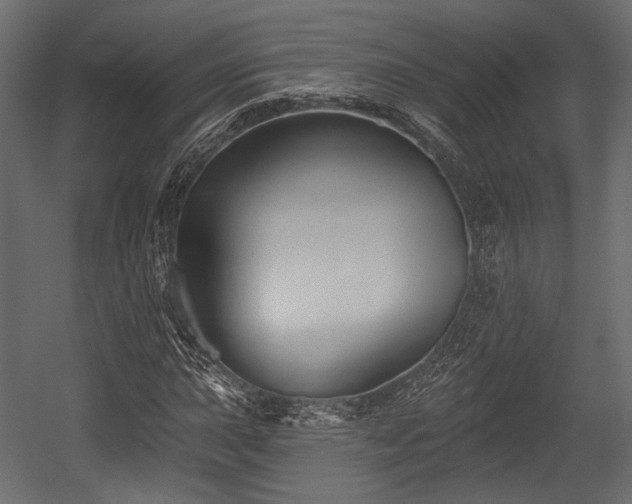 X0000054361015200508011215