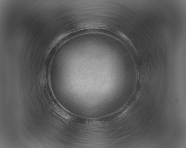X0000054361019200508011215