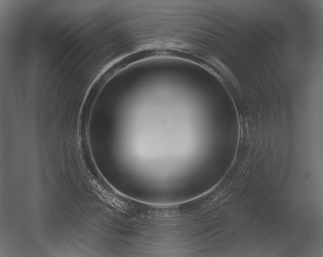X0000054361020200508011215