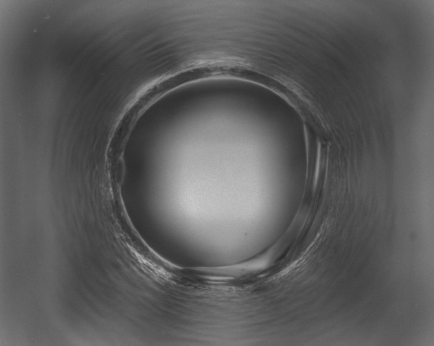 X0000054361022200508011215