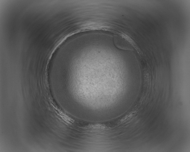 X0000054361023200508011215