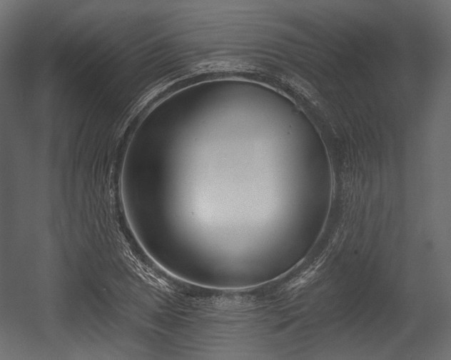 X0000054361025200508011215