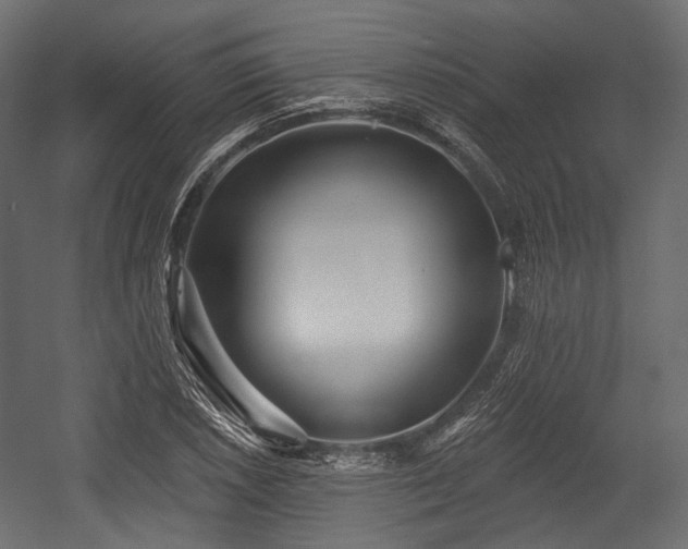 X0000054361026200508011215