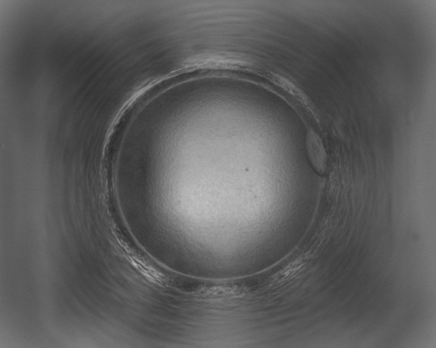 X0000054361027200508011215