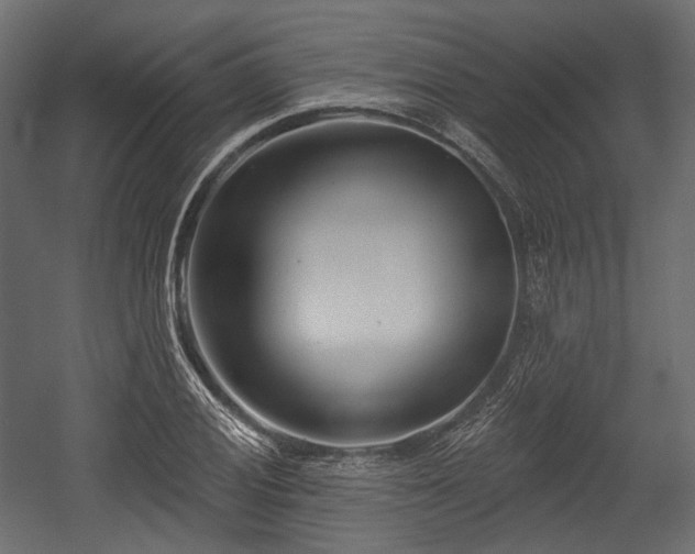 X0000054361028200508011215