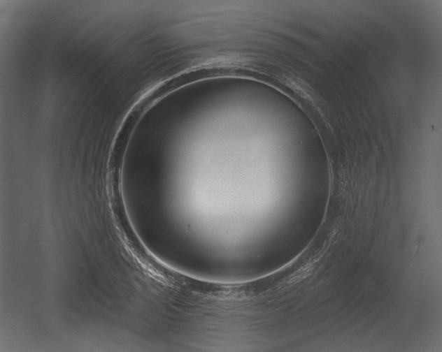 X0000054361029200508011215