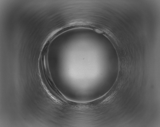 X0000054361030200508011215