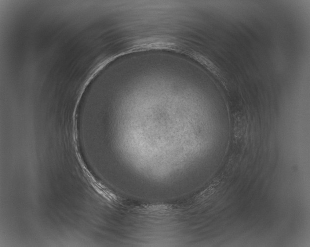 X0000054361031200508011215