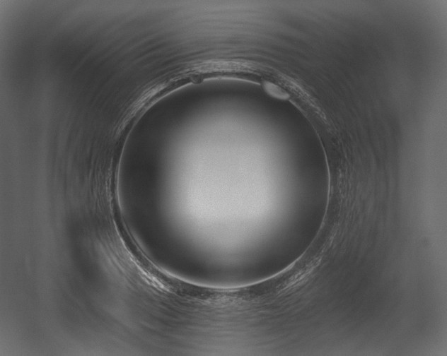 X0000054361033200508011215