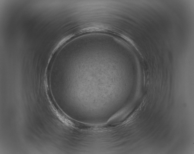 X0000054361034200508011215