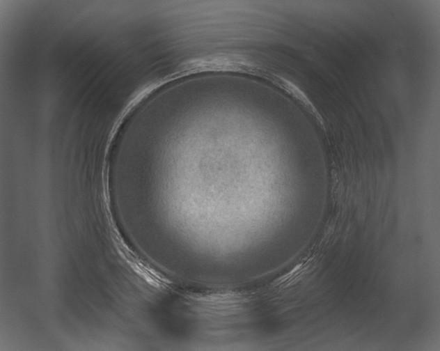 X0000054361035200508011215