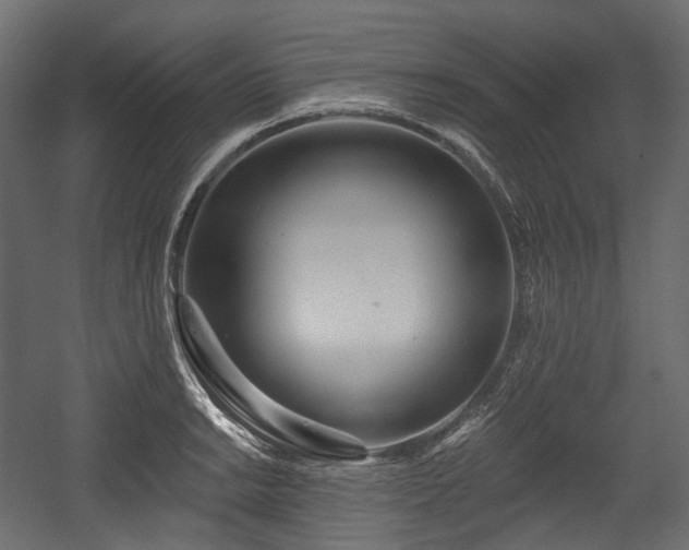 X0000054361038200508011215