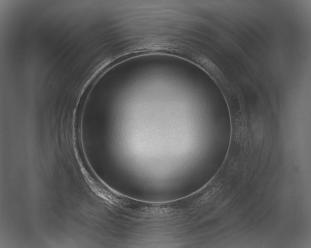 X0000054361039200508011215