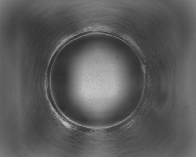 X0000054361040200508011215