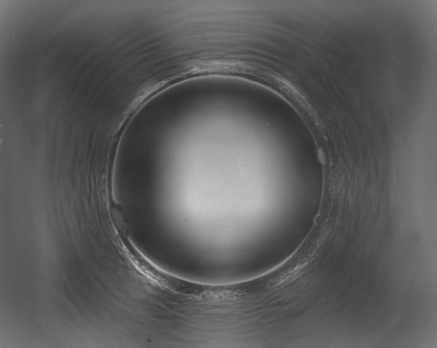 X0000054361041200508011215