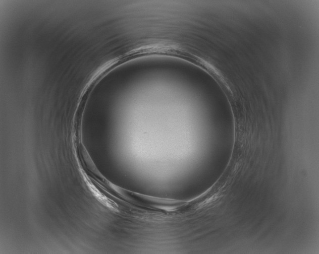 X0000054361042200508011215