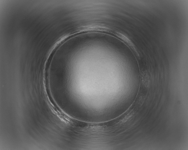X0000054361043200508011215
