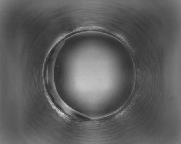 X0000054361046200508011215