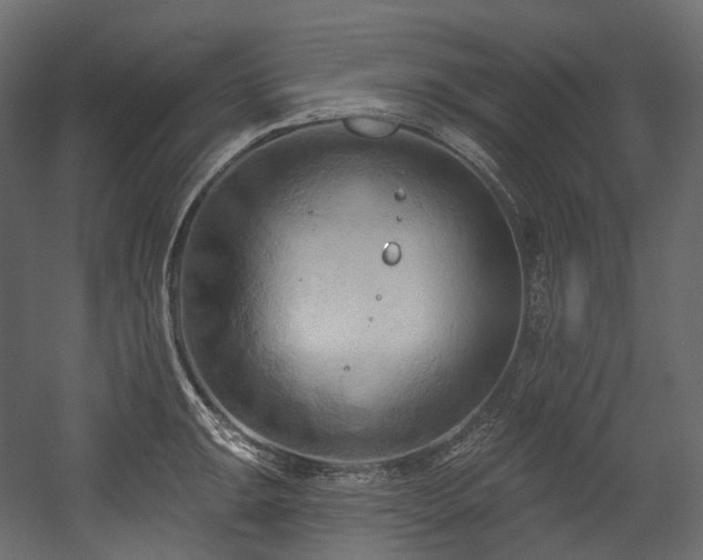X0000054361047200508011215