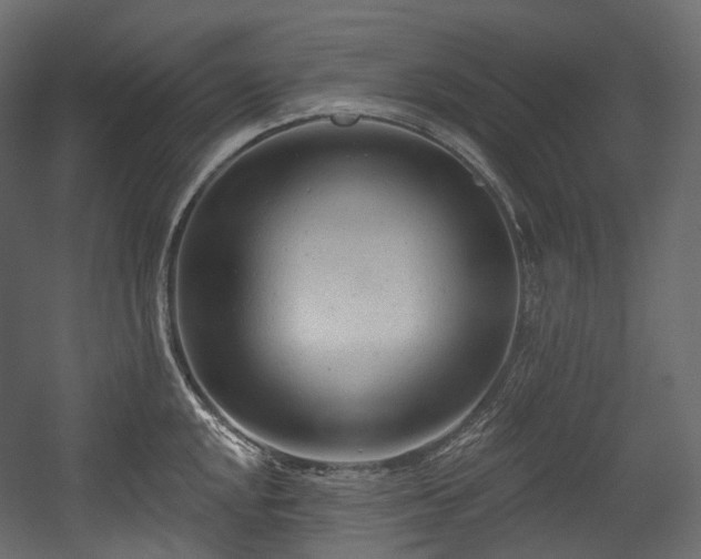 X0000054361048200508011215