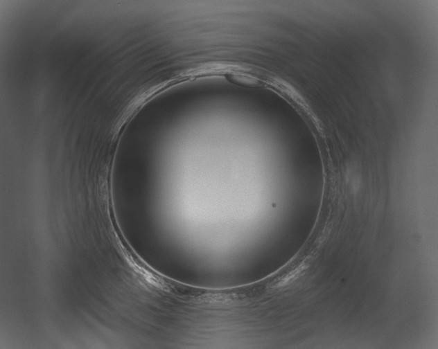 X0000054361049200508011215
