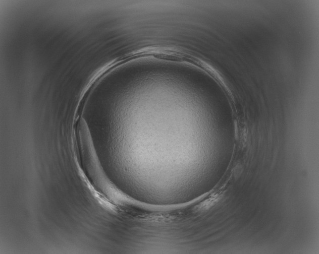 X0000054361050200508011215
